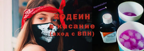 скорость Ладушкин