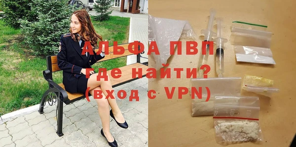 скорость Ладушкин