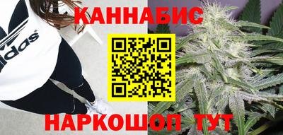 шишки Заводоуковск