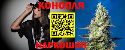 шишки Заводоуковск