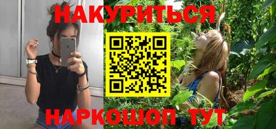 шишки Заводоуковск