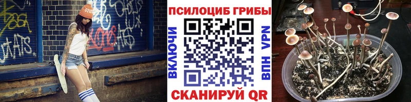 продажа наркотиков  Пенза  Галлюциногенные грибы MAGIC MUSHROOMS 