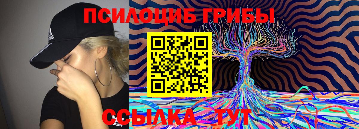 Галлюциногенные грибы MAGIC MUSHROOMS  Вход с VPN  Псилоцибиновые грибы GOLDEN TEACHER  Пенза 
