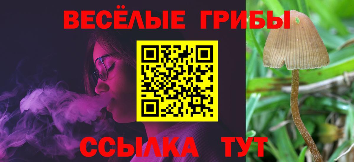 Галлюциногенные грибы Psilocybine cubensis Пенза